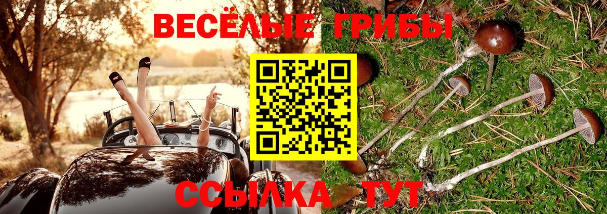 Псилоцибиновые грибы Psilocybine cubensis  хочу наркоту  Урус-Мартан 