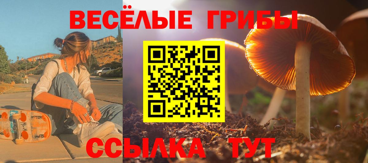 Псилоцибиновые грибы Magic Shrooms Урус-Мартан