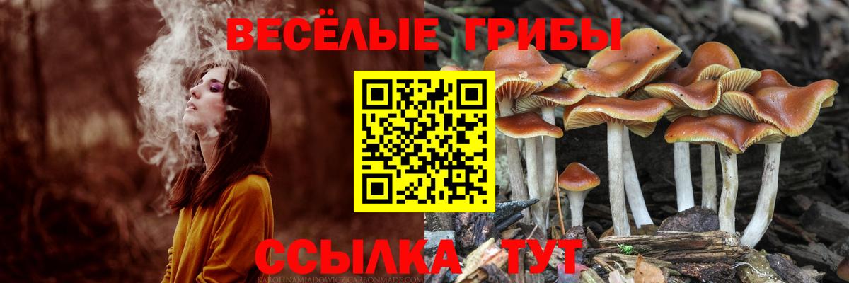 наркотики  Галлюциногенные грибы мицелий  Вход с VPN  Урус-Мартан  Галлюциногенные грибы мицелий 